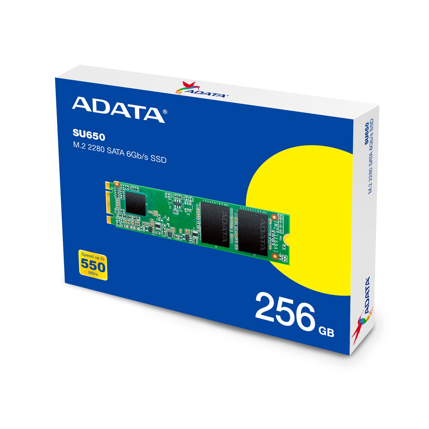 ADATA Ultimate SU650 M.2 2280 SATA3 SSD RW 550/510 MBs - Up to 1TB - Tech Syndicate