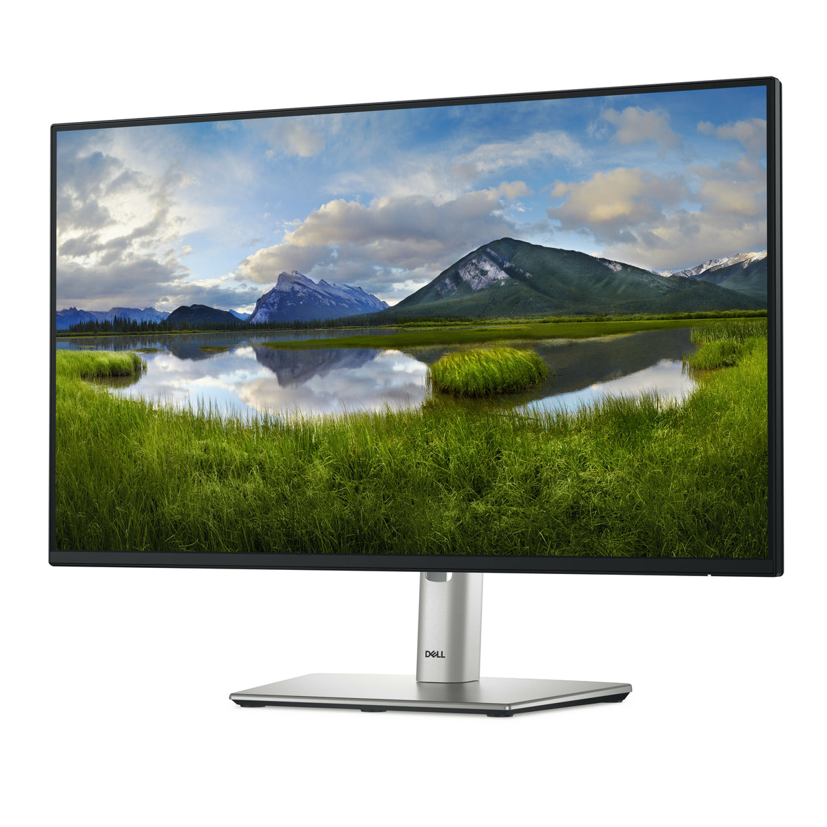 Dell P2425H 24" FHD IPS Monitor - 100Hz, HDMI, DisplayPort