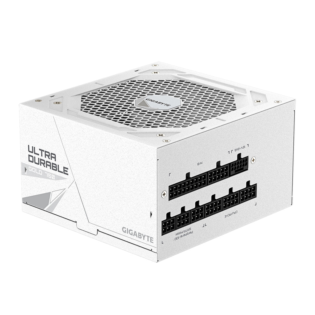 GIGABYTE GP-UD750GM PG5 V2 ICE 750W 80 Plus Gold ATX 3.1 PSU – view 4