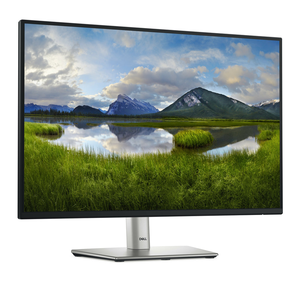 Dell P2425 24" WUXGA 1920x1200 100Hz IPS Monitor - DELL-P2425
