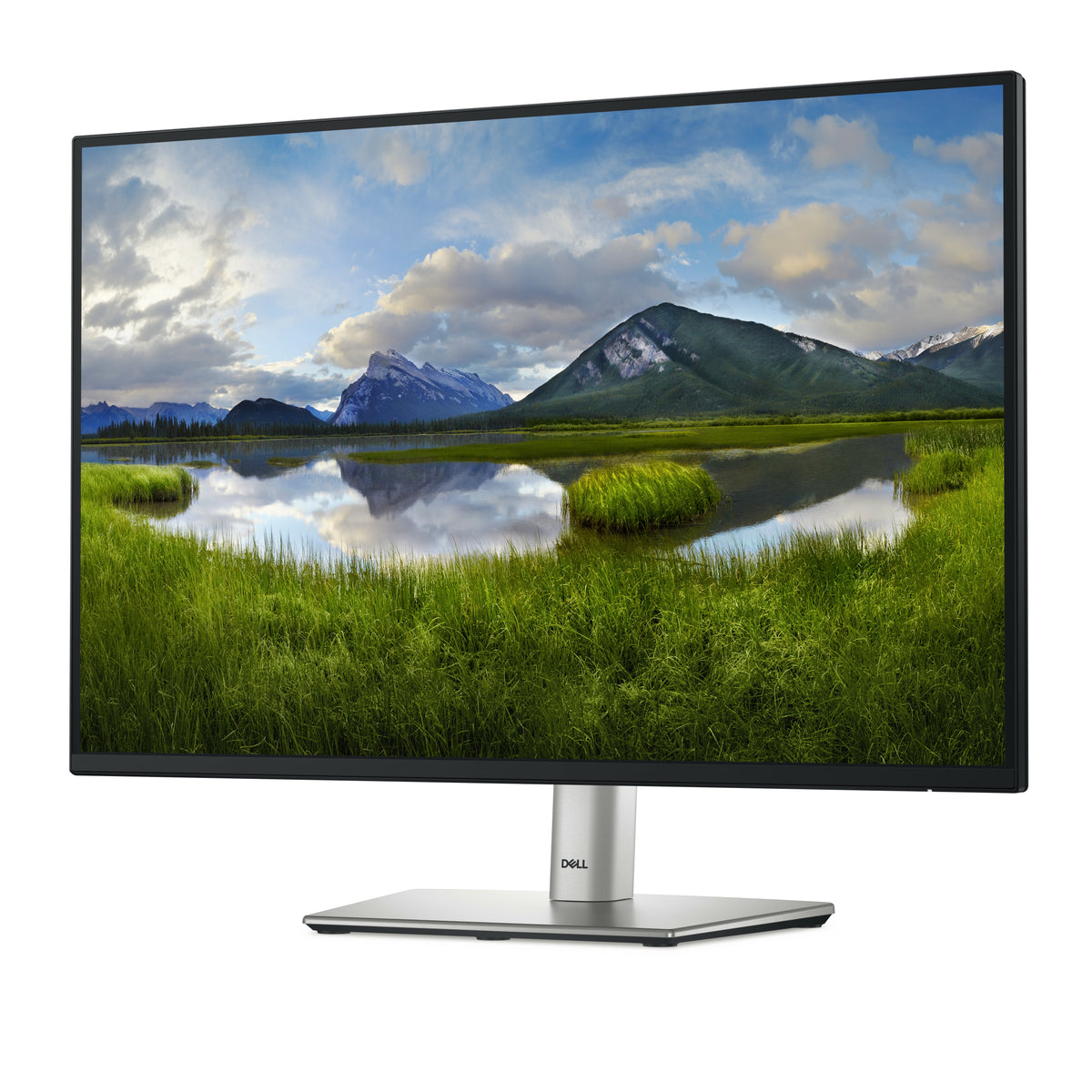 Dell P2425 24" WUXGA 1920x1200 100Hz IPS Monitor - DELL-P2425