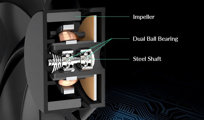 Dual-Ball-Bearing_EN