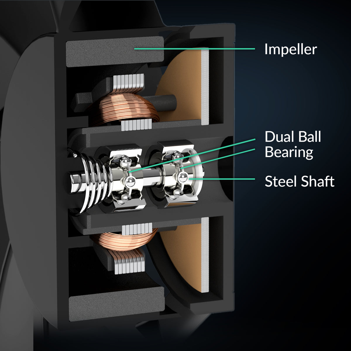 Dual Ball Bearing | Freezer 8