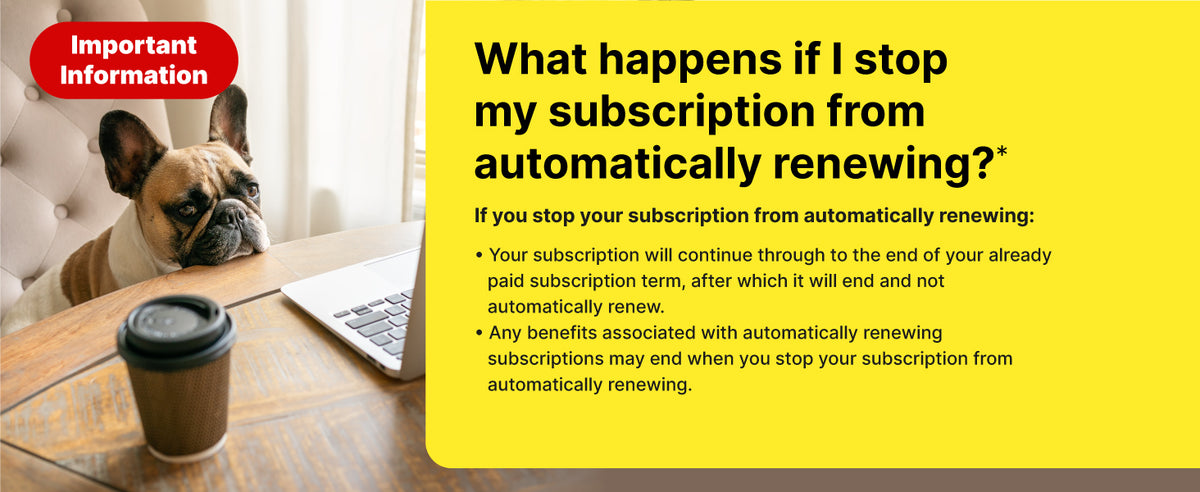 Norton Antivirus Plus – 1 Device, 1 Year Subscription - Tech Syndicate