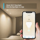 TP-Link Tapo L610 Dimmable Smart Wi-Fi Spotlight 4-Pack - Tech Syndicate