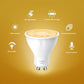 TP-Link Tapo L610 Dimmable Smart Wi-Fi Spotlight 4-Pack - Tech Syndicate