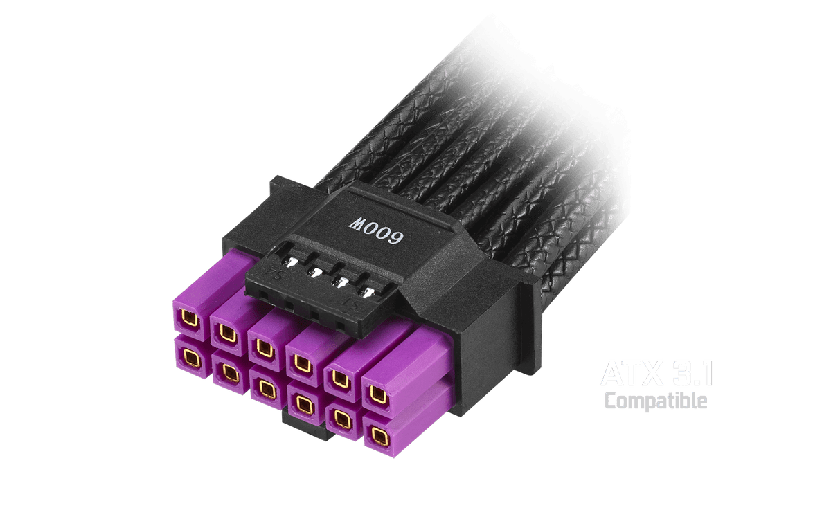 Closeup of ATX 3.0/3.1 cable connector