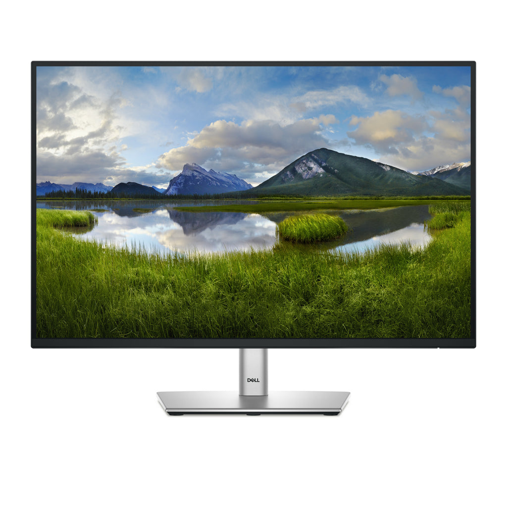 Dell P2425 24" WUXGA 1920x1200 100Hz IPS Monitor - DELL-P2425