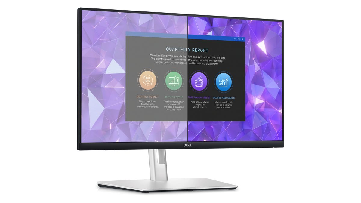 Dell 24 P2424HT