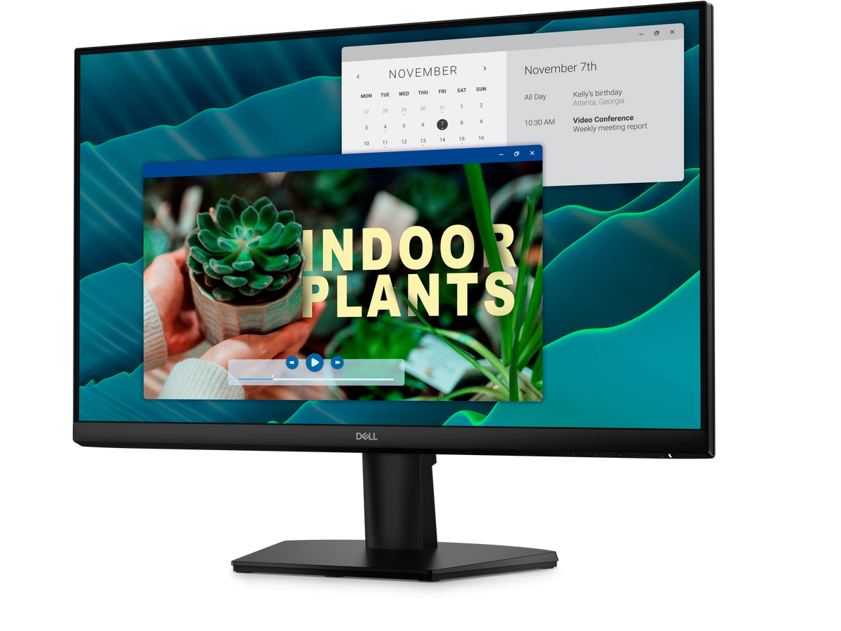 Dell 24 Monitor - SE2426H 