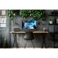 piXL CM215F17D 21.5 Inch Full HD Monitor with 100Hz Refresh Rate - Tech Syndicate