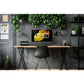 piXL PX24IVHFPD 24" 100Hz Full HD IPS Monitor - HDMI & VGA - Tech Syndicate