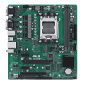 Pro A620M-C-CSM