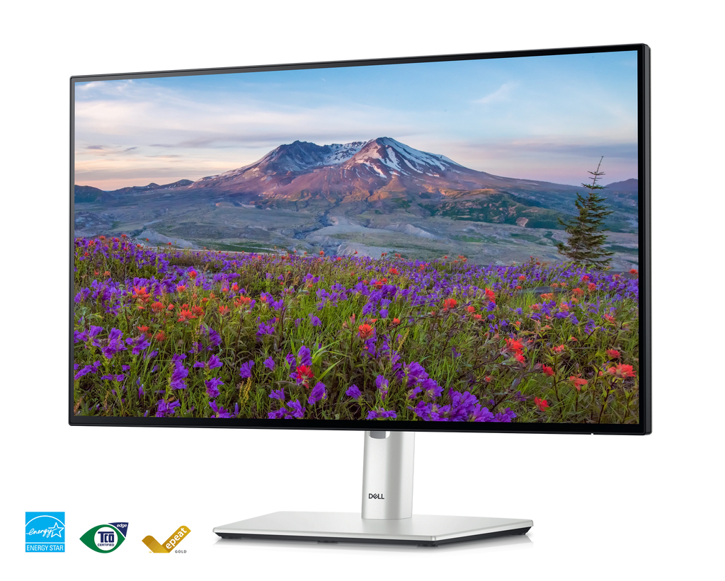  Dell UltraSharp 24 USB-C® Hub Monitor - U2424HE